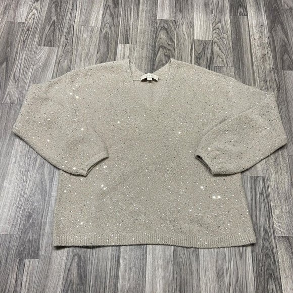 ANN TAYLOR LOFT V-Neck Pullover Tan Sequin Knit Sweater Women's Size Medium - Picture 3 of 11